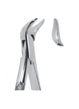 Extracting Forceps
